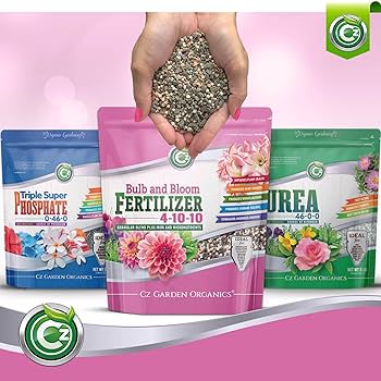 Willing plant ordinal pot W.P-004 Mix⑧ Medium ZZ Plant | Buy 10-18 Inch Indoor Plants | easyplant